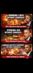 Obama's military actions without Congress approval Meme Template
