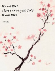 DNS Haiku Meme Template