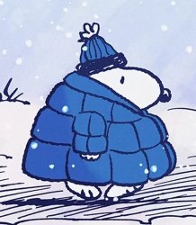 Snoopy Winter Puffer Coat Meme Template