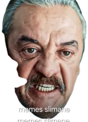 Memes slimane Meme Template