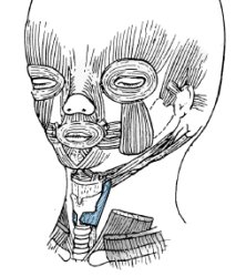 Horror Baby of Disdain Meme Template