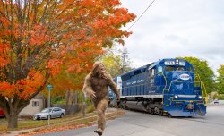 Trains Meme Template