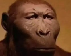 neanderthal Meme Template