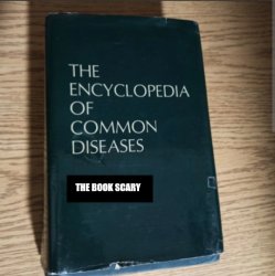 Dogday-1025 Meme Template