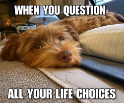 Life Choices Meme Template