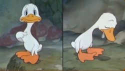 DUCKS Meme Template
