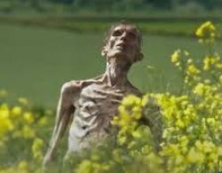 Zombie Meme Template