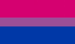 Bisexual flag Meme Template