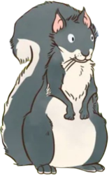 Squirrel Meme Template