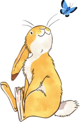 Bunny rabbit meets butterfly Meme Template