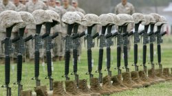 Boots on the Ground - Military casualties dead body bags Meme Template