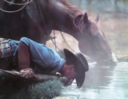 Man drinking with horse Meme Template