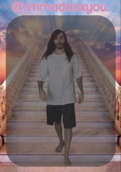 immaddoxyou's penguinz0 temp (this shit so magnificent) Meme Template