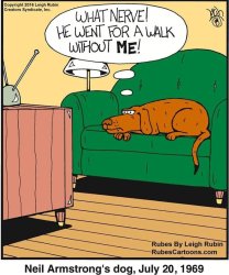 One small step. One upset dog Meme Template