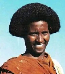 Bulb Head Meme Template