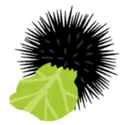 Illustration of a sea urchin eating cabbage Meme Template