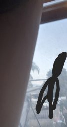 Station.954.MKV Meme Template