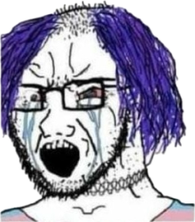 Trans wojak « girl(?) » Meme Template
