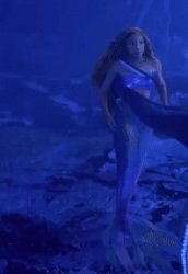 halle turd Meme Template