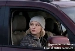 Renee Nicole Good Meme Template