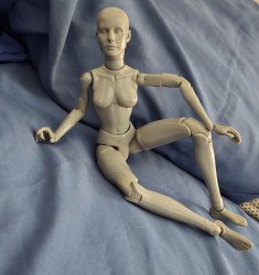 Draw me like one of your french girls Meme Template