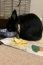 F off I’m reading Meme Template