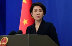 Chinese FM spokesperson Mao Ning Meme Template