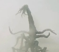 SCP-6017 Meme Template