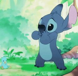 Stitch Meme Template
