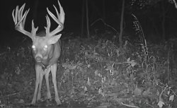 SCP-469 Meme Template