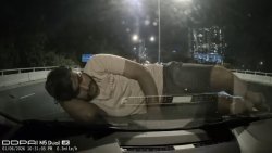 sleeping on hood Meme Template