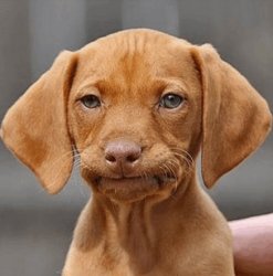 When the building isnt on fire Meme Template