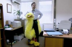 Oh well Meme Template