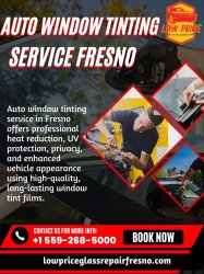 Auto Window Tinting Service Fresno Meme Template