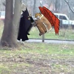 hawks started a cult Meme Template