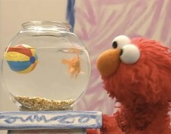 Elmo and Dorothy Meme Template