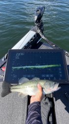 Big Bass No Cash Spent It On Fishfinders Meme Template