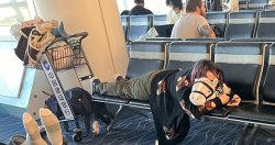 Proud to be an American Meme Template