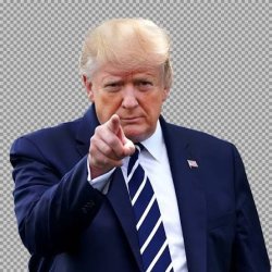 Trump pointing Meme Template