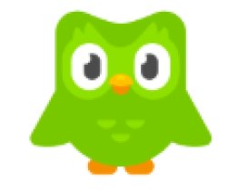 Duolingo Bird Meme Template