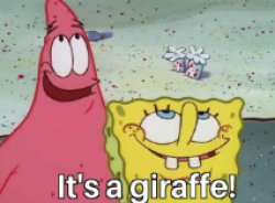 HAHA IT'S A GIRAFFE Meme Template