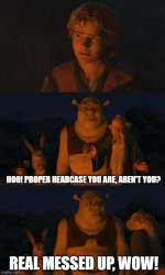 Shrek proper headcase Meme Template
