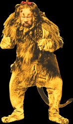 likkle lion Meme Template