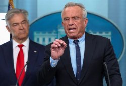 Otter Jr Meme Template