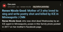 CNN Renee Nicole Good Meme Template