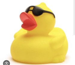 Rubber duck Meme Template
