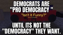 Not my Democracy Meme Template