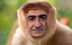 Reza nosacz Pahlavi Meme Template