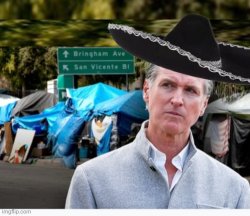 Greasy Gavin Newsom Meme Template