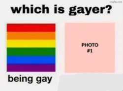 Which is gayer? Meme Template